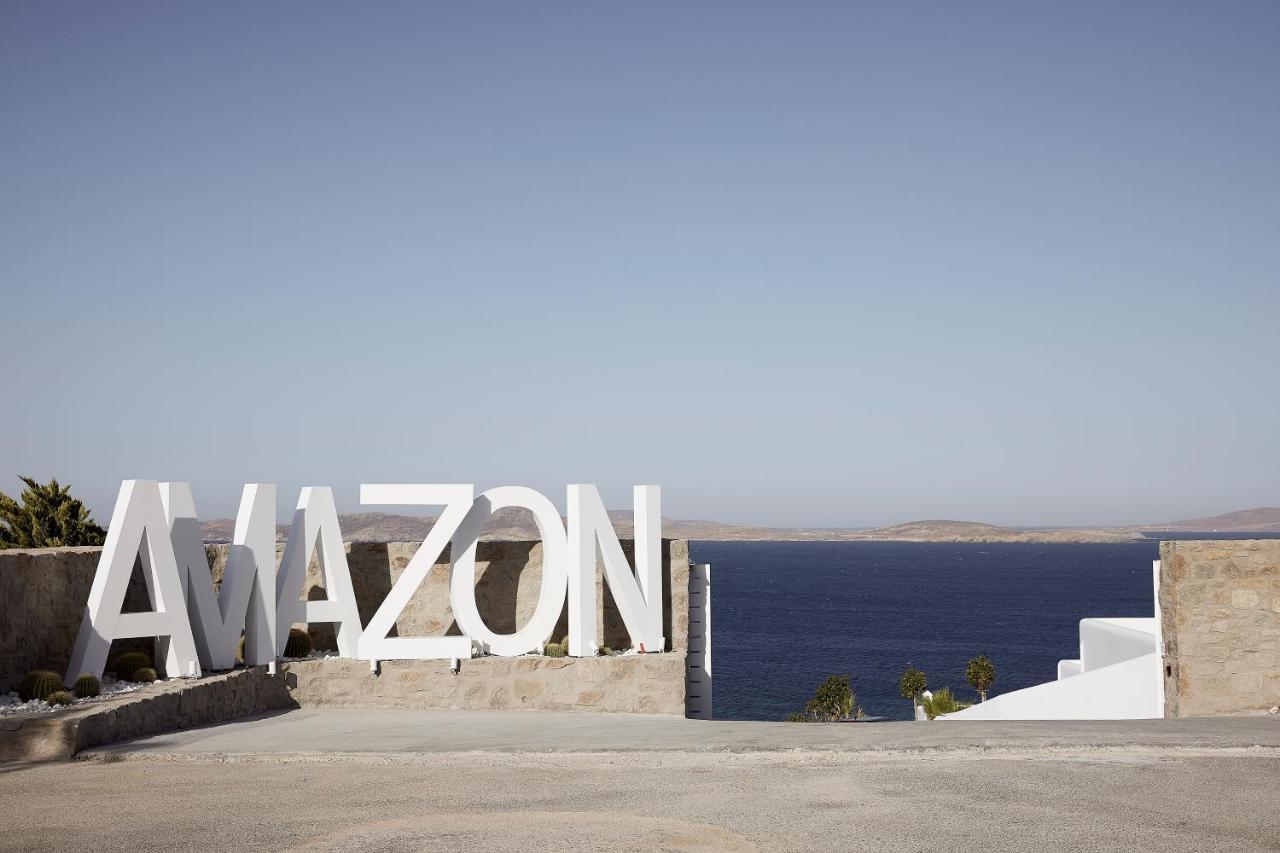 Hotel Amazon Mykonos & Mykonos Town